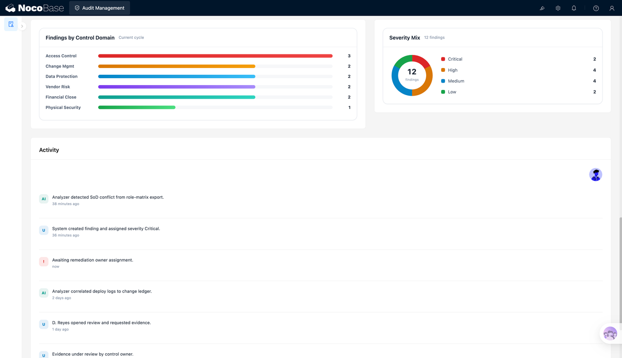 Risk distribution and audit activity records